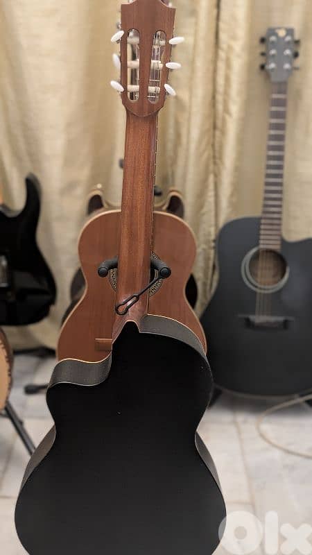 Alhambra professional guitar 1
