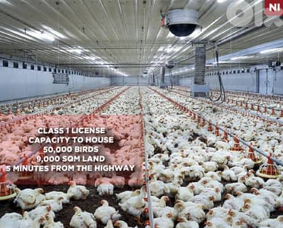 first-class poultry farm, prime area,Jeddayel,Jbeil/جدايل REF#NI136211