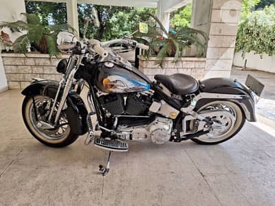harley davidson springer