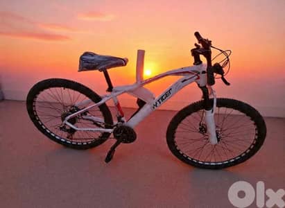 Lucky Tiger Mountain Bike – Built to Ride,Made to Stand Out