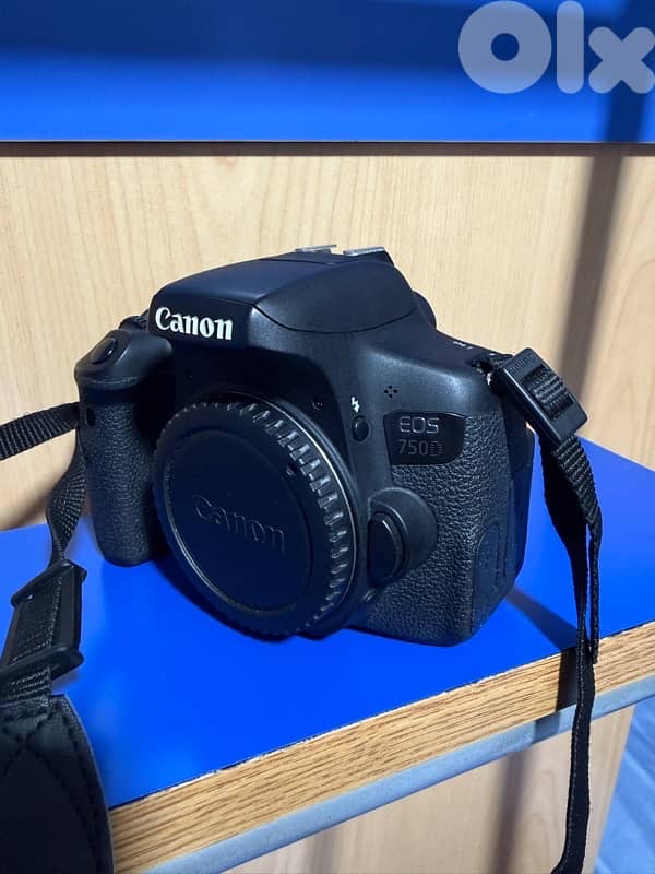 Canon 750D DSLR Camera/ Canon 50mm prime lens f/1.4 1