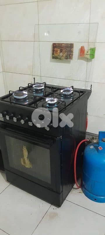 نيو روضة / المتن