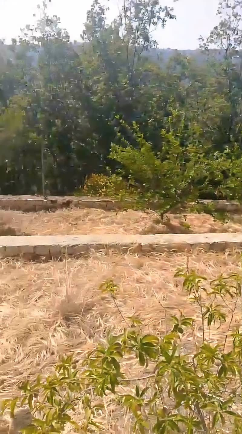 Land for sale in Mazra3et Kfardebian/ Open view 2