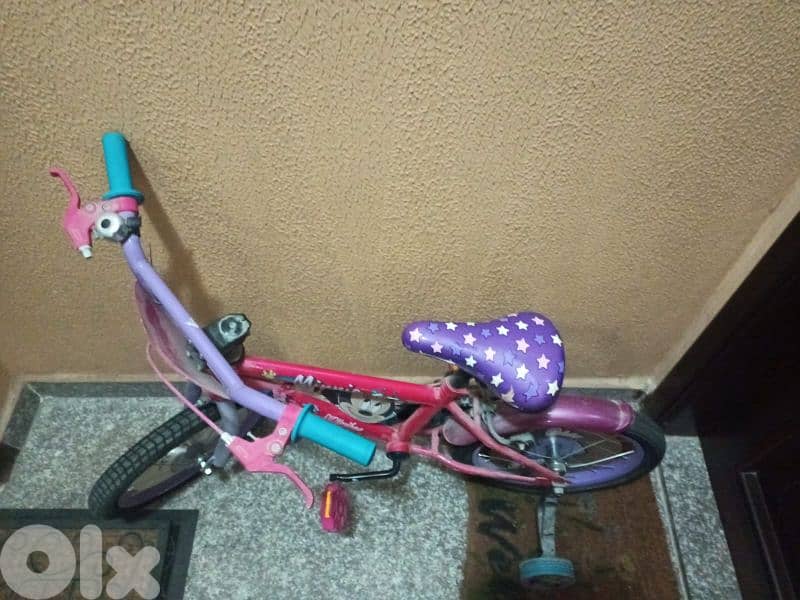 bicycle for kids 1