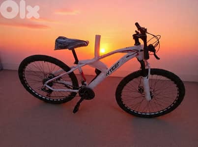 26 inch mountain bike