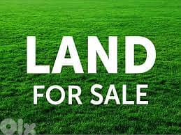Land For Sale In Jouret El Ballout ارض للبيع في جورة البلوط