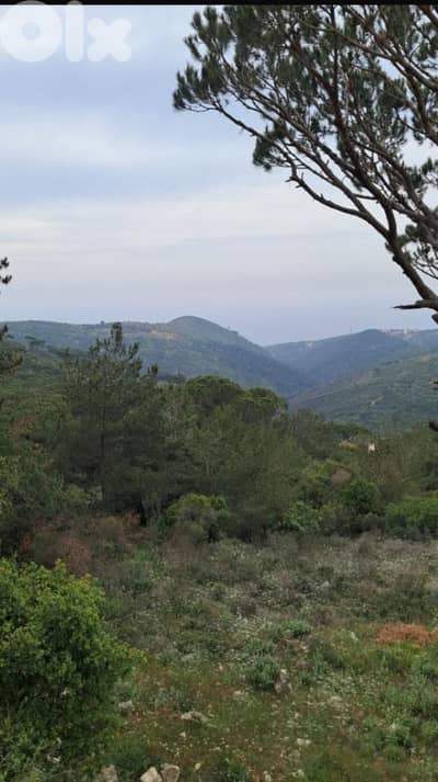 أرض للبيع في كفرمتا Land for sale in Kfarmata