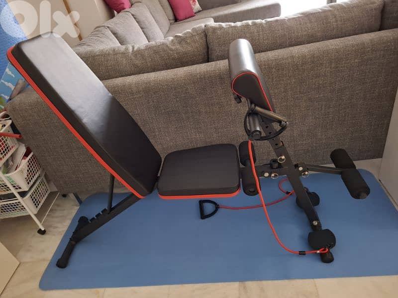 body building bench 1