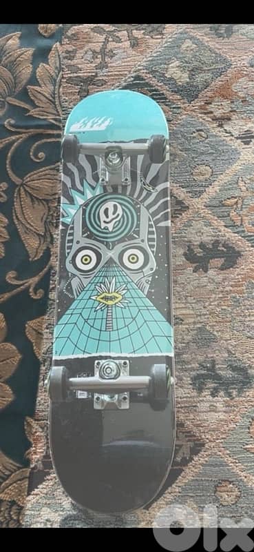skateboard
