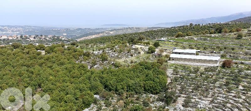 Exceptional Plot in Sourat (Zoning 25/50) – 360° Views 10