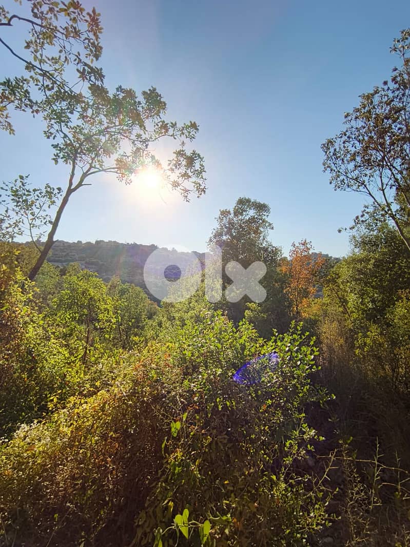 Spacious Land for Sale in Kfarhatna, Batroun - 2,085 sqm 3