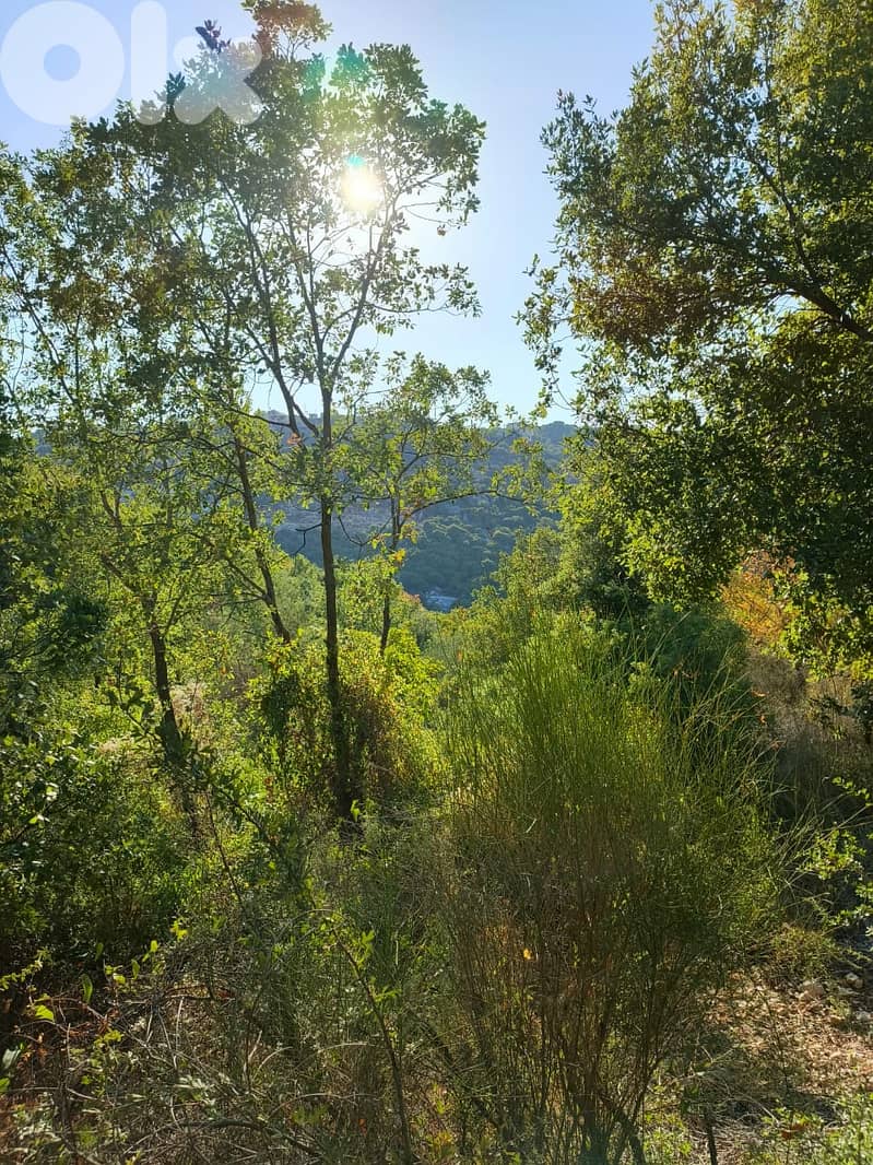 Spacious Land for Sale in Kfarhatna, Batroun - 2,085 sqm 5