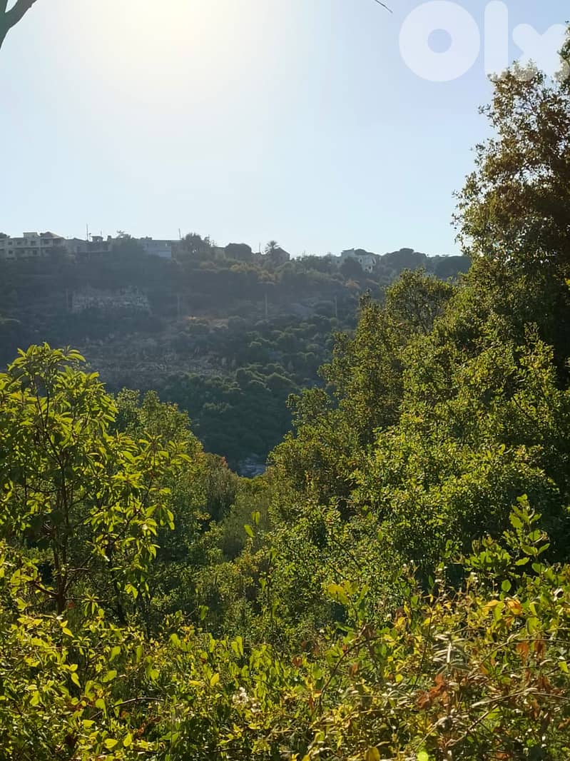 Spacious Land for Sale in Kfarhatna, Batroun - 2,085 sqm 6