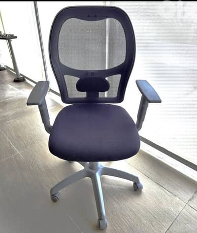 Ergonomic Mesh Office Chair