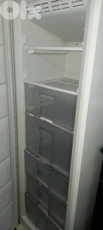 vestel freezer