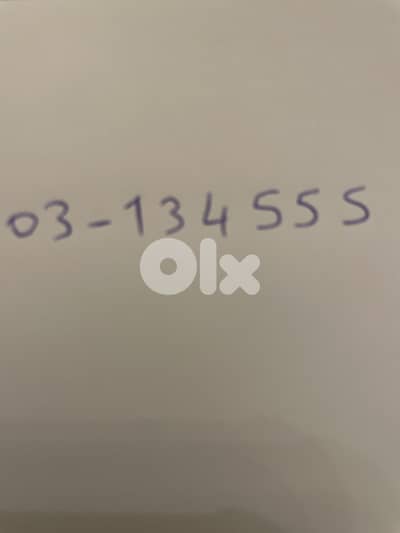 03134555