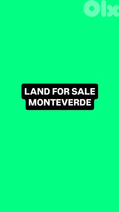 Land for sale Monteverde أرض للبيع المنتفردي