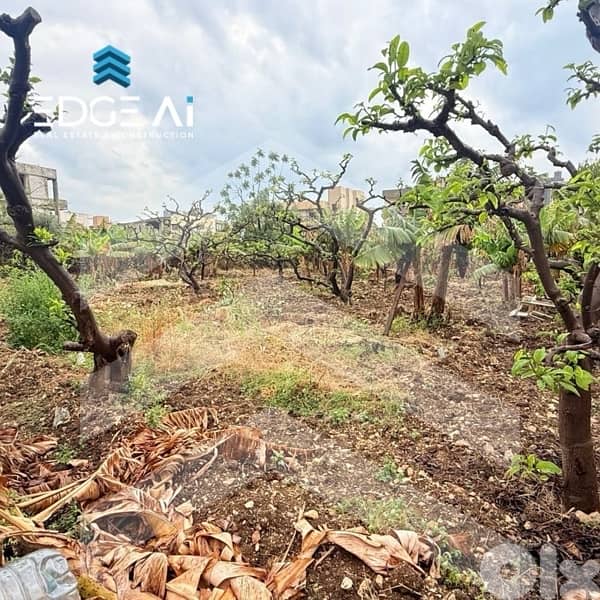Land for Sale | Bouar  Ref: #MK201003 1