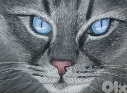 dry pastel cat painting لوحة قط رسم يد بالباستال