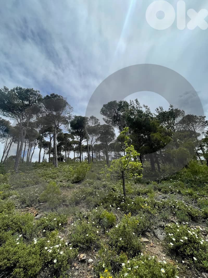 LAND/Bmohray/Aley/بمهريه /high-potential project / REF#OK136358 ! 2