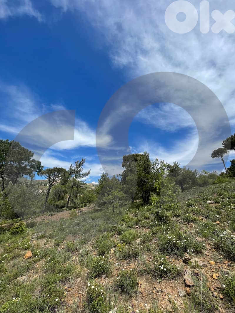 LAND/Bmohray/Aley/بمهريه /high-potential project / REF#OK136358 ! 4