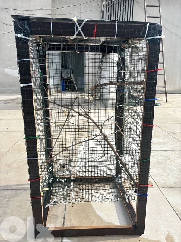 New Bird cage 1