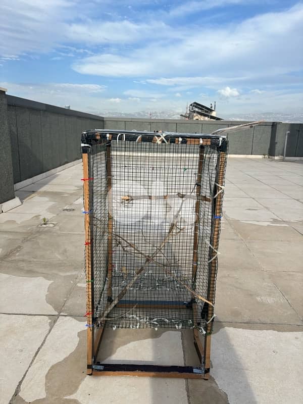 New Bird cage 3