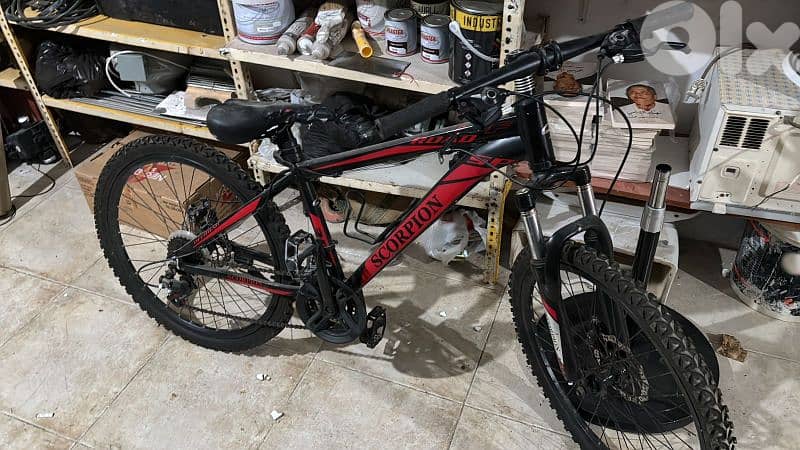 bicycle 1