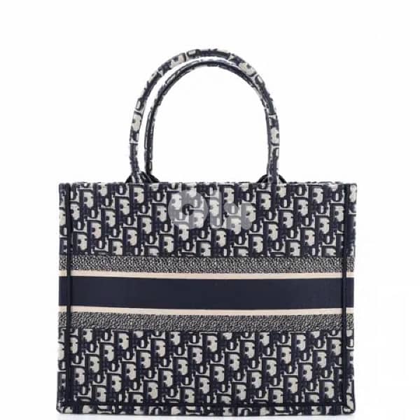 Christian Dior bag (copy) 1
