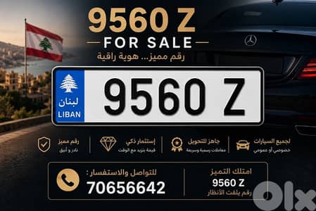 Car Plate Number for sale 9560 Z