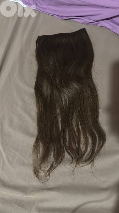 Clips hair extensions