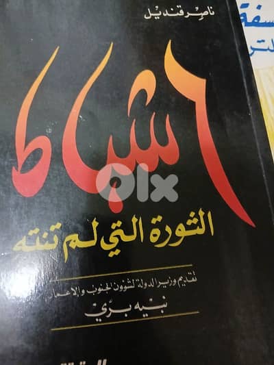 ٦شباط الثورة التي لم تنته الصحة والجريمة