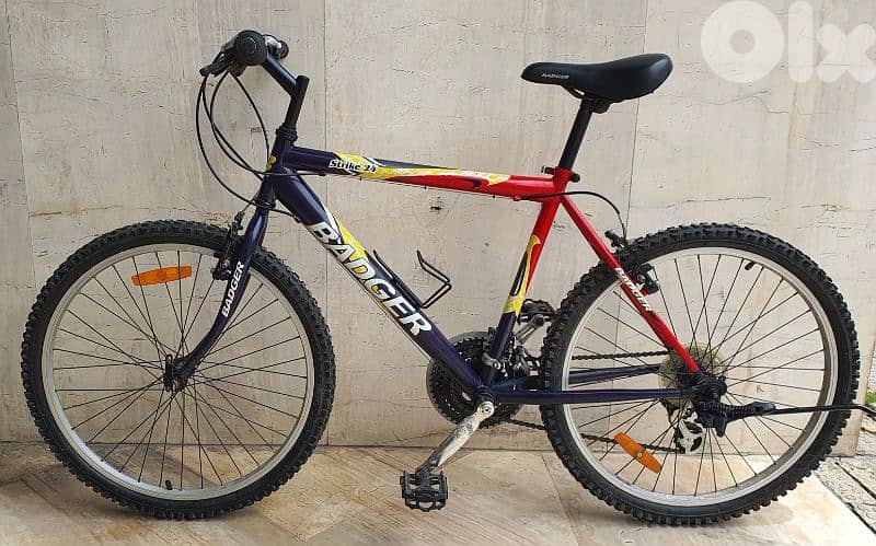 Badger bike 24" 21 speed shimano tourney 2