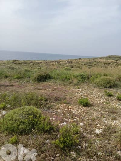 Beachfront lands for sale