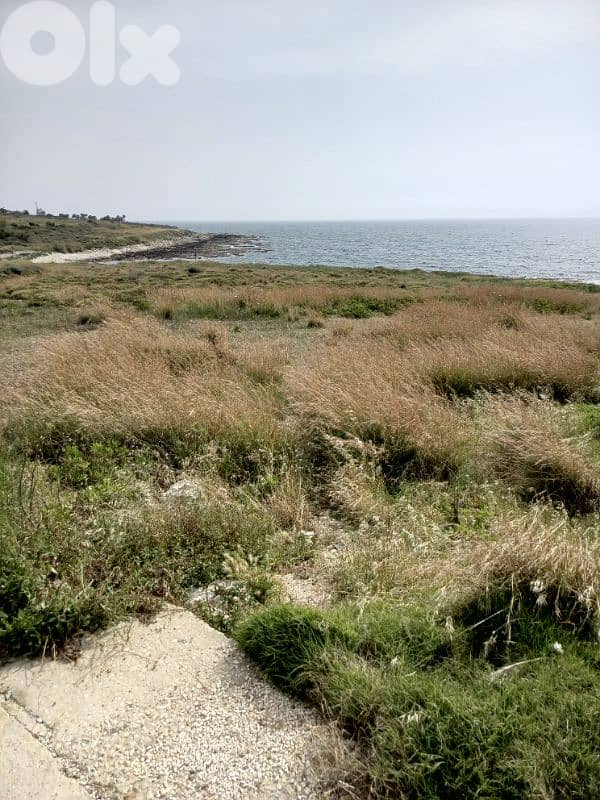 Beachfront lands for sale 2