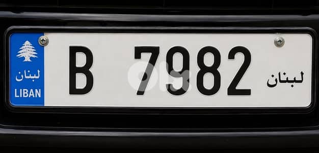 special car plate number
