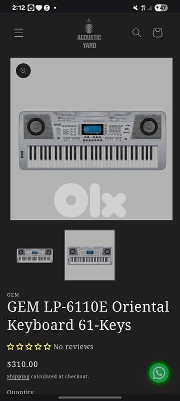 Oriental Keyboard 61-Keys professional
