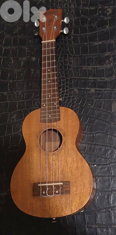 Ukulele Guitarist Electro-Acoustic