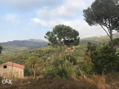 Qsaybeh Land for sale (Beautiful mountain and pine view )