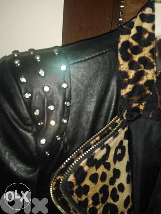 Jacquette jacket جاكيت blazer jeled 4