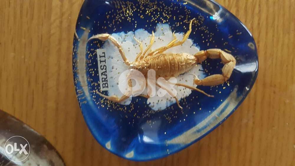 Souvenir from brazil 2