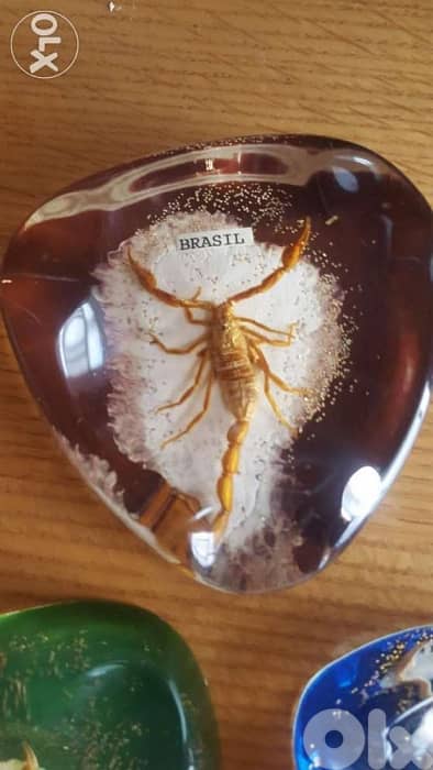 Souvenir from brazil 3