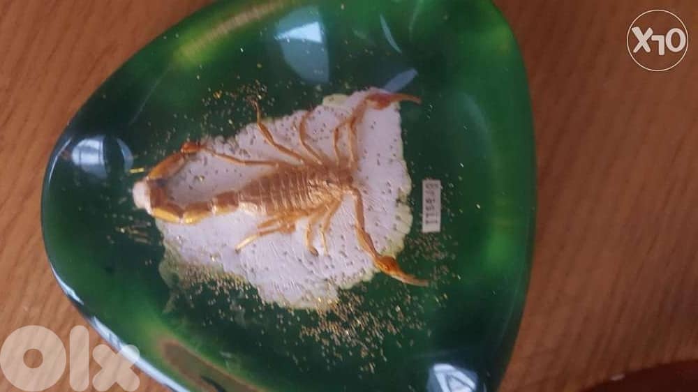 Souvenir from brazil 4