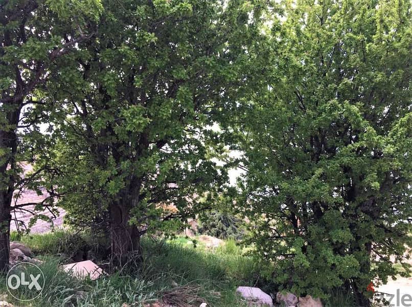 Prime Location LAND in Faqra with AMAZING Viewأرض في فقرا ٦١٠ م ٢ 4