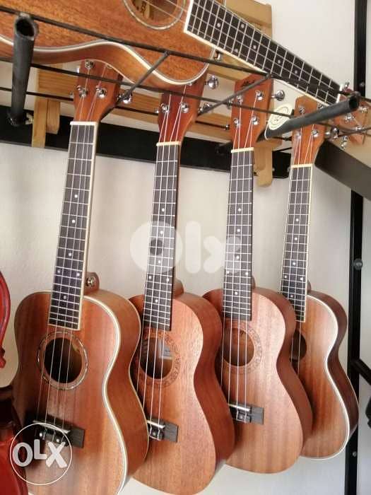 Ukulele 23" with bag free starting price 0