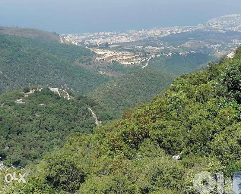 L08396- Land for Sale in a New Zone in Braij Jbeil 0