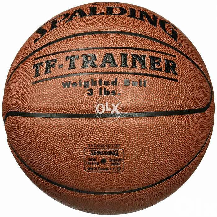 Spalding TF trainer weighted ball 0