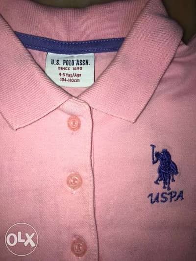 polo shirts olx