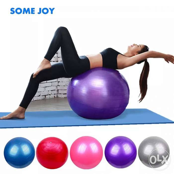 55 or 65 or 75 Exercise ball 0