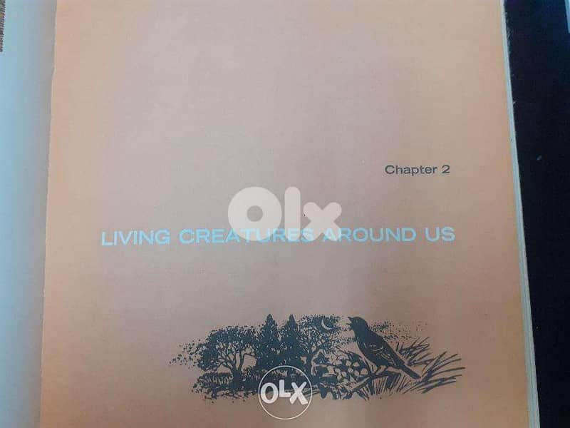 Vintage More tell me why BOOK 3